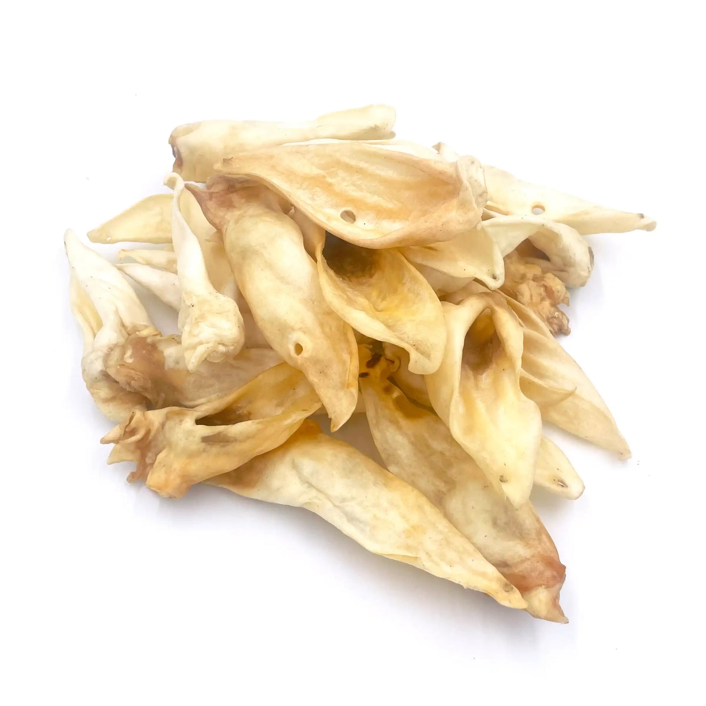 Lamb Ear - Large